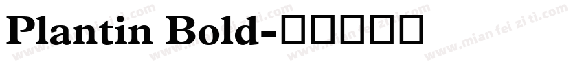 Plantin Bold字体转换